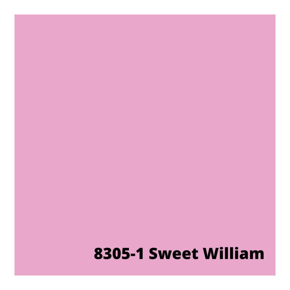 sweet william